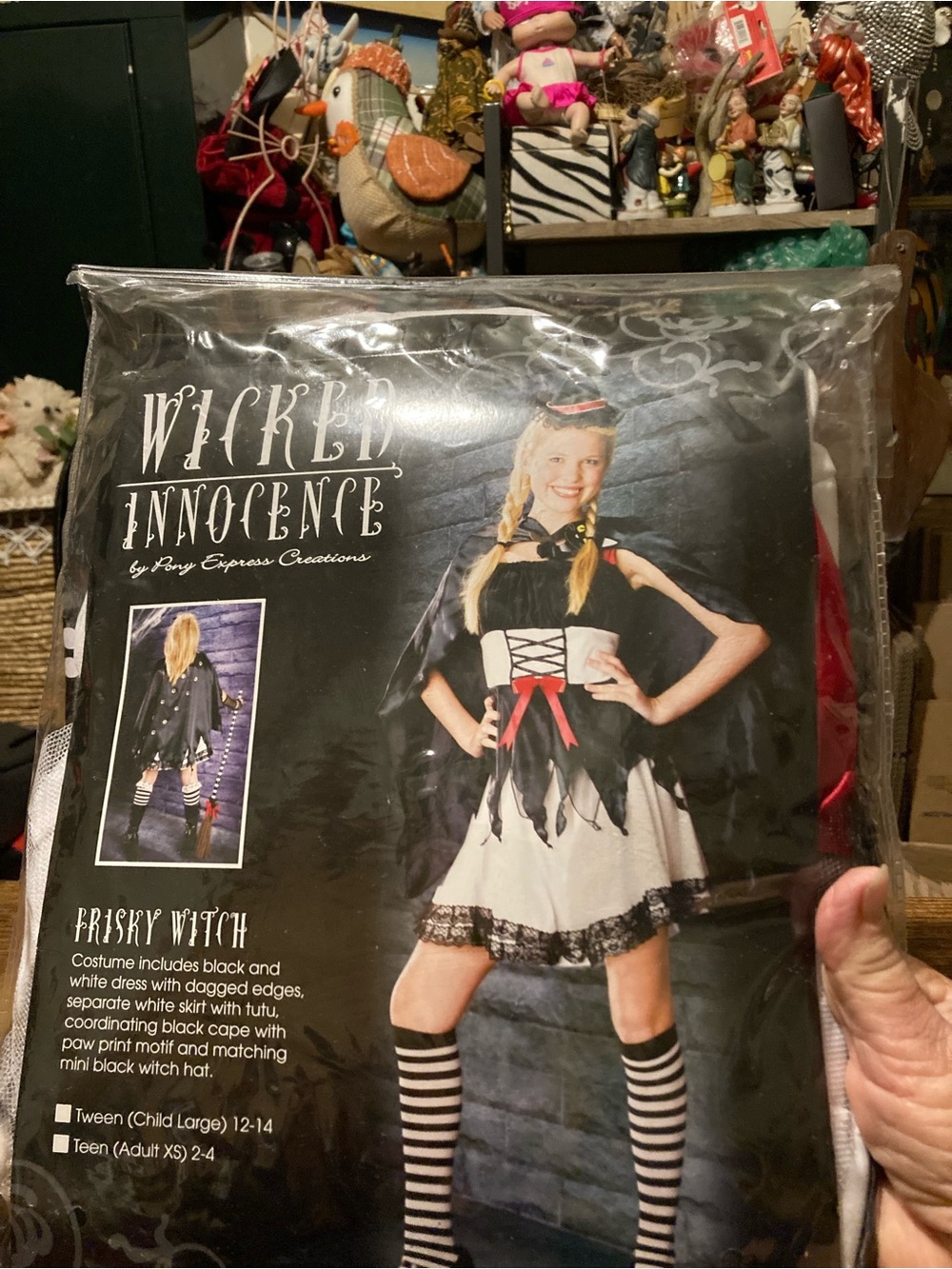 Vintage Wicked Innocence frisky witch teen costume